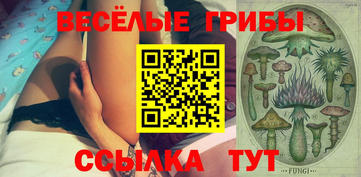 Нижнекамск  Галлюциногенные грибы мухоморы  Псилоцибиновые грибы Magic Shrooms  Вход с VPN 